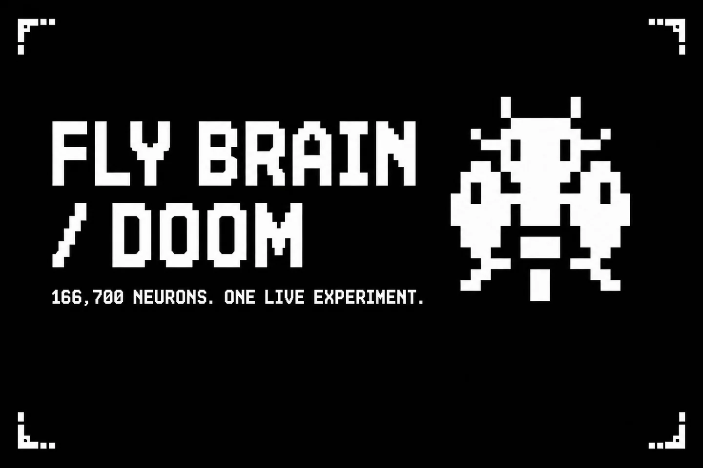 Заставка проекта DOOMFLY