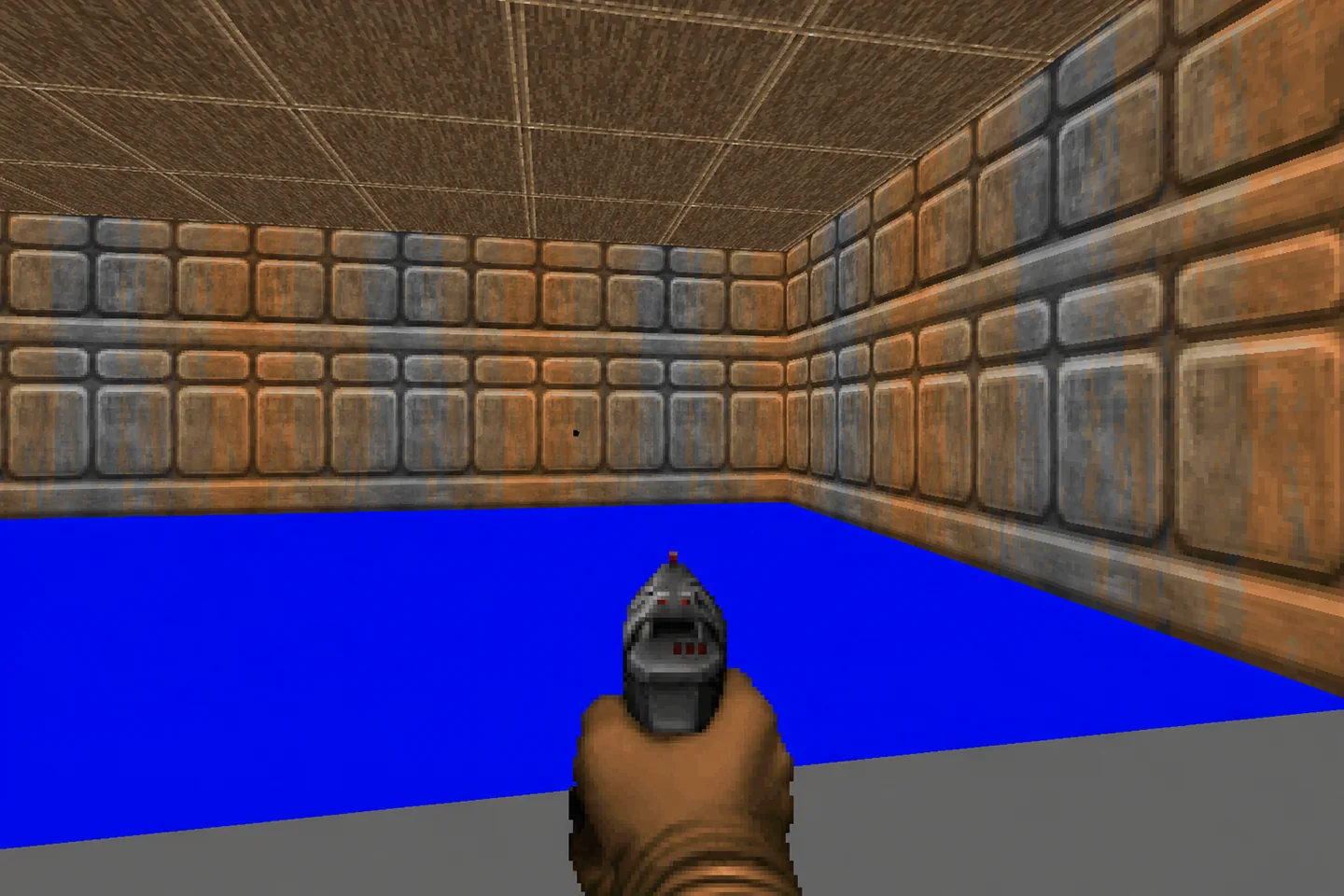 Кадр Doom из забега мушиного мозга