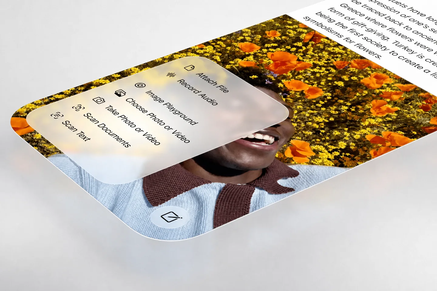 Attachment menu: file, audio, Image Playground, document and text scanning