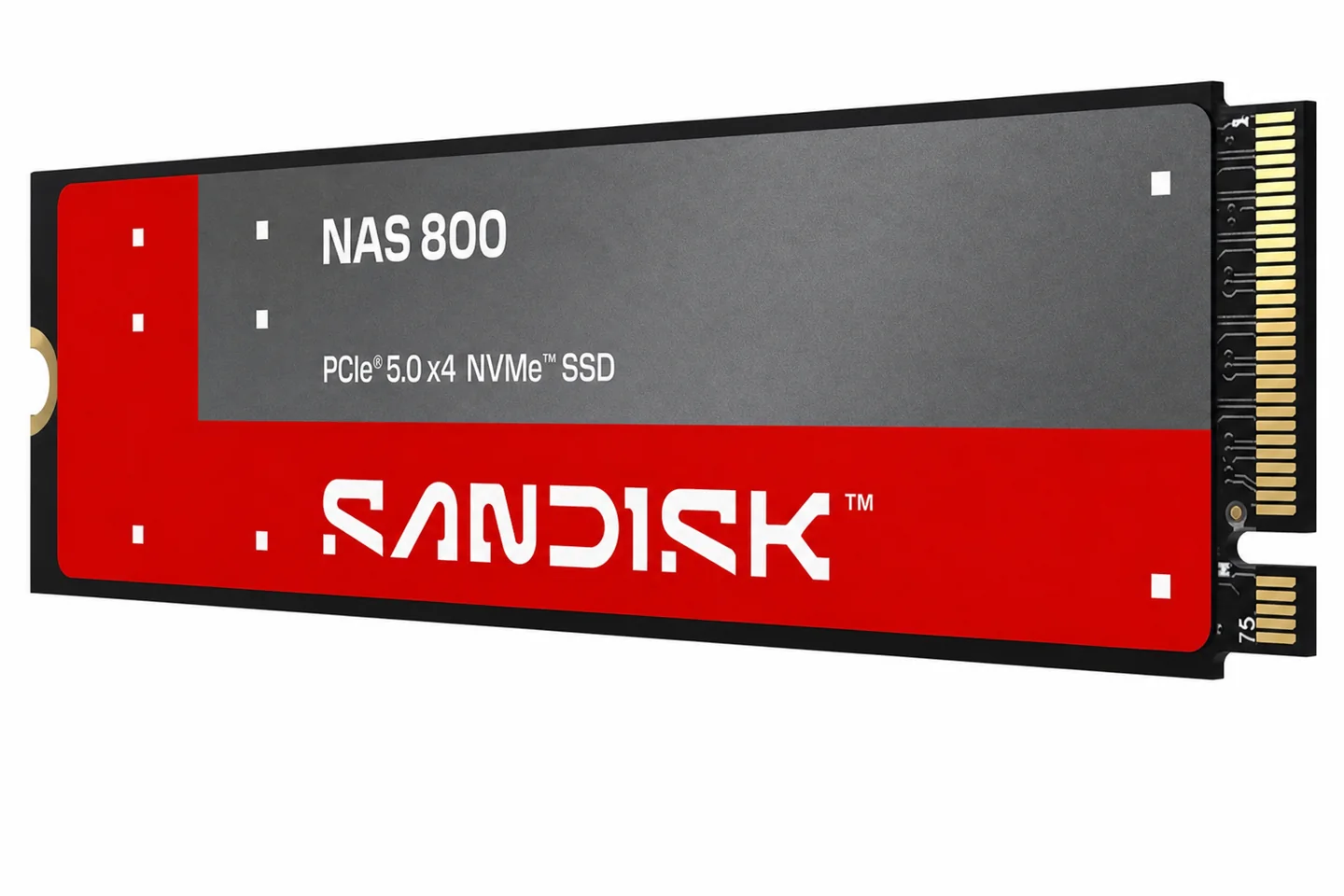 SanDisk NAS 800 NVMe SSD в формате M.2 2280