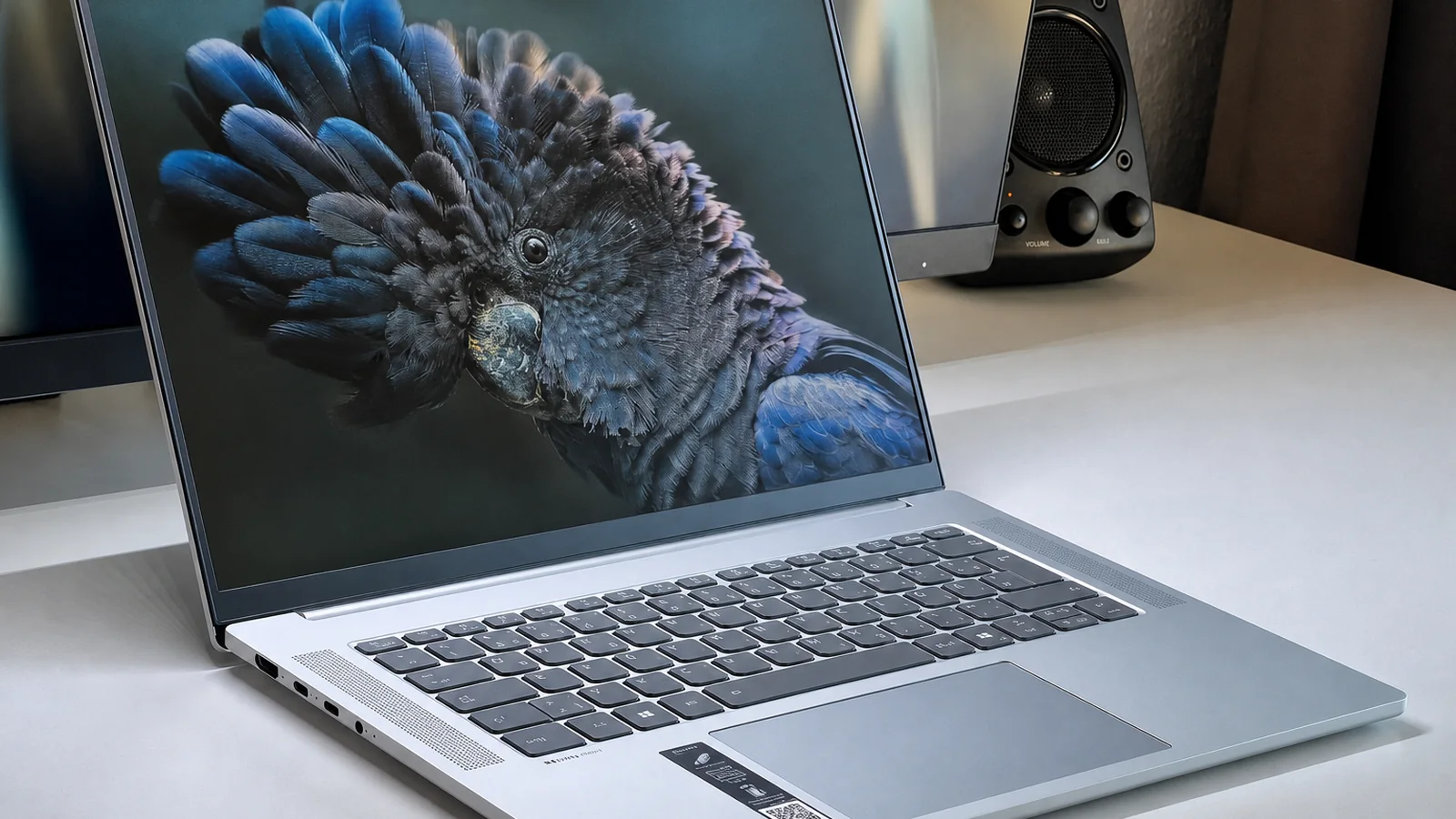 Ваш ноутбук Lenovo теряет питание после обновления Windows 11: почему